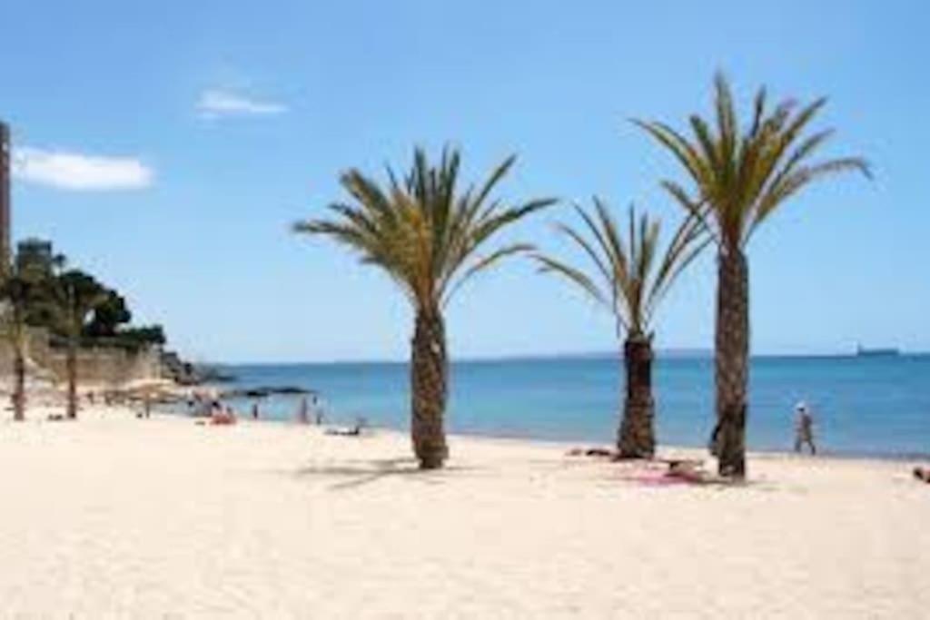 Mi Pequena Bahia Apartment Alicante Luaran gambar